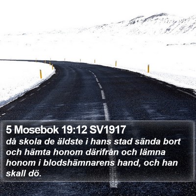 5 Mosebok 19:12 SV1917 Bible Verse Image