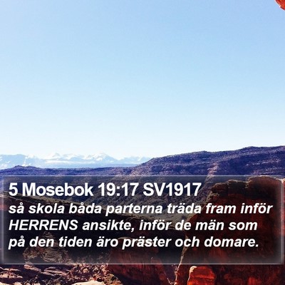5 Mosebok 19:17 SV1917 Bible Verse Image