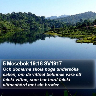 5 Mosebok 19:18 SV1917 Bible Verse Image