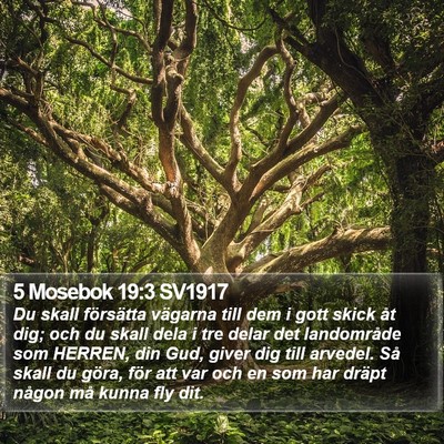 5 Mosebok 19:3 SV1917 Bible Verse Image