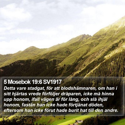 5 Mosebok 19:6 SV1917 Bible Verse Image