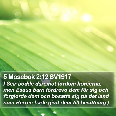 5 Mosebok 2:12 SV1917 Bible Verse Image