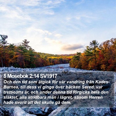 5 Mosebok 2:14 SV1917 Bible Verse Image