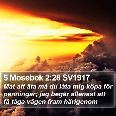 5 Mosebok 2:28 SV1917 Bible Verse Image