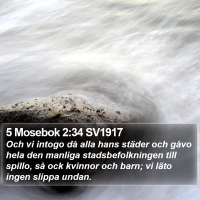5 Mosebok 2:34 SV1917 Bible Verse Image