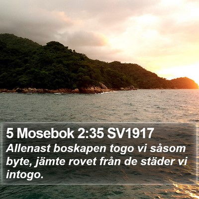 5 Mosebok 2:35 SV1917 Bible Verse Image