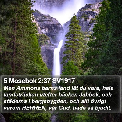 5 Mosebok 2:37 SV1917 Bible Verse Image