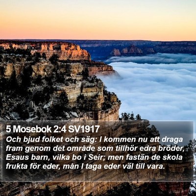 5 Mosebok 2:4 SV1917 Bible Verse Image