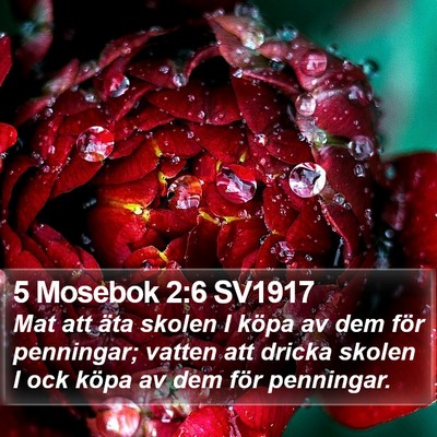 5 Mosebok 2:6 SV1917 Bible Verse Image
