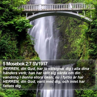 5 Mosebok 2:7 SV1917 Bible Verse Image