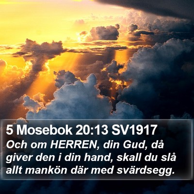 5 Mosebok 20:13 SV1917 Bible Verse Image