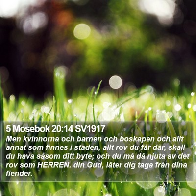 5 Mosebok 20:14 SV1917 Bible Verse Image