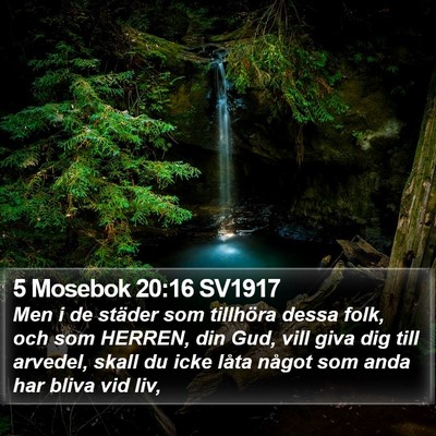 5 Mosebok 20:16 SV1917 Bible Verse Image