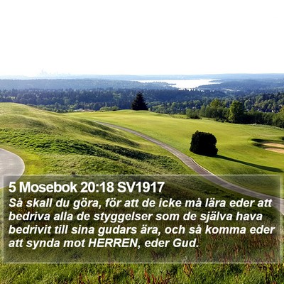 5 Mosebok 20:18 SV1917 Bible Verse Image