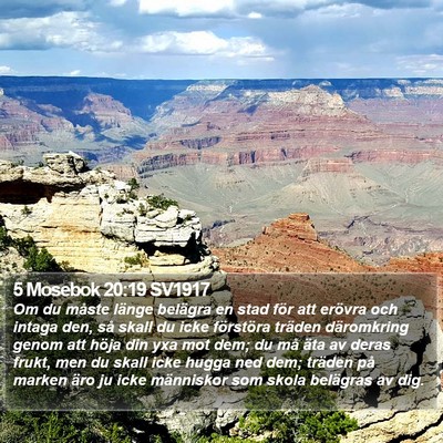 5 Mosebok 20:19 SV1917 Bible Verse Image
