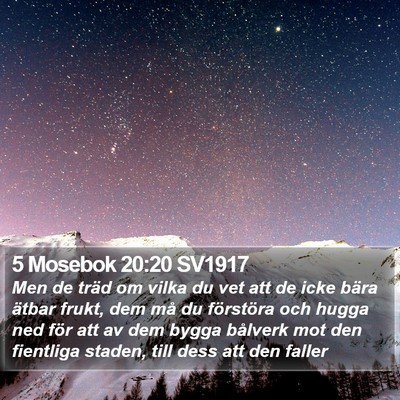 5 Mosebok 20:20 SV1917 Bible Verse Image