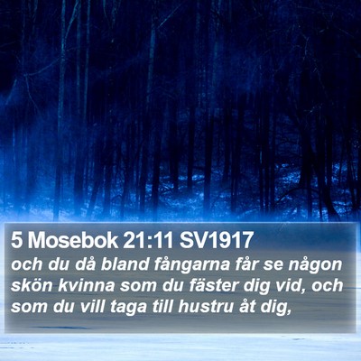 5 Mosebok 21:11 SV1917 Bible Verse Image