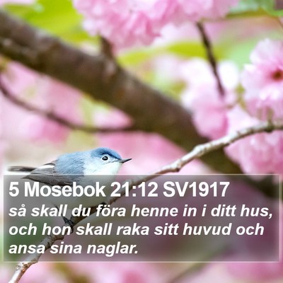 5 Mosebok 21:12 SV1917 Bible Verse Image