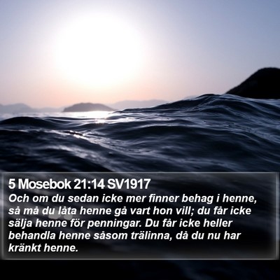 5 Mosebok 21:14 SV1917 Bible Verse Image