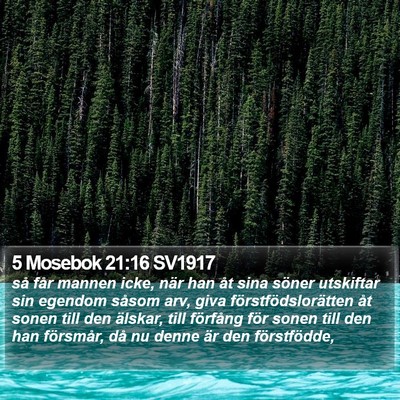 5 Mosebok 21:16 SV1917 Bible Verse Image