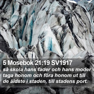 5 Mosebok 21:19 SV1917 Bible Verse Image