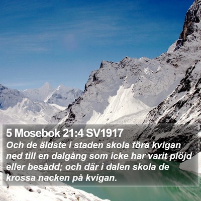 5 Mosebok 21:4 SV1917 Bible Verse Image