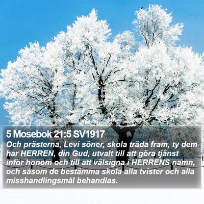 5 Mosebok 21:5 SV1917 Bible Verse Image
