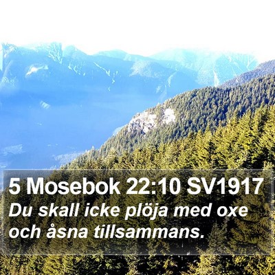 5 Mosebok 22:10 SV1917 Bible Verse Image