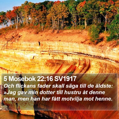 5 Mosebok 22:16 SV1917 Bible Verse Image
