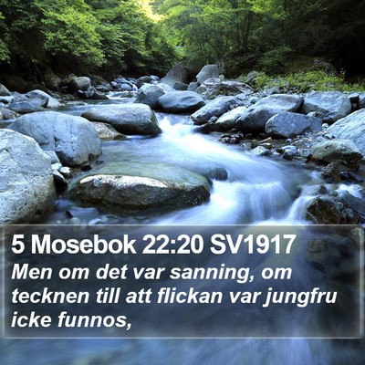 5 Mosebok 22:20 SV1917 Bible Verse Image