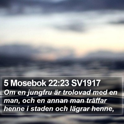 5 Mosebok 22:23 SV1917 Bible Verse Image