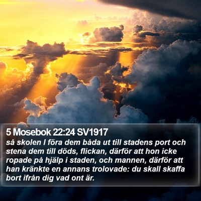 5 Mosebok 22:24 SV1917 Bible Verse Image