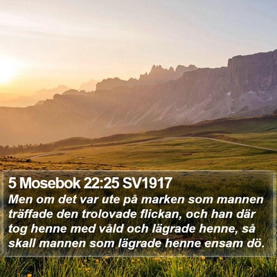 5 Mosebok 22:25 SV1917 Bible Verse Image