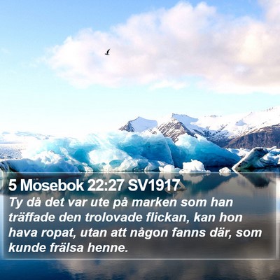 5 Mosebok 22:27 SV1917 Bible Verse Image