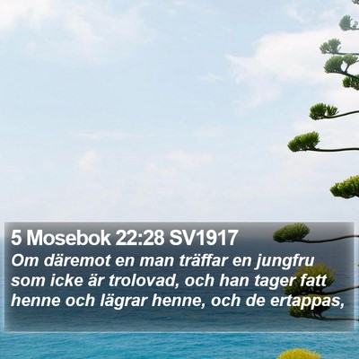 5 Mosebok 22:28 SV1917 Bible Verse Image