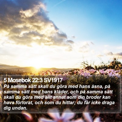 5 Mosebok 22:3 SV1917 Bible Verse Image