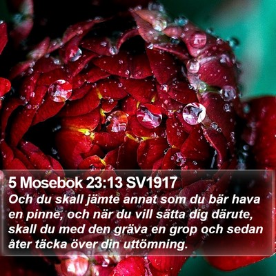 5 Mosebok 23:13 SV1917 Bible Verse Image