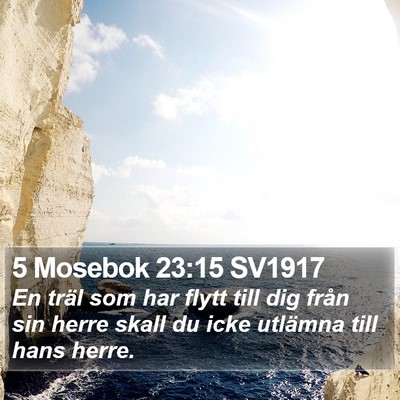 5 Mosebok 23:15 SV1917 Bible Verse Image