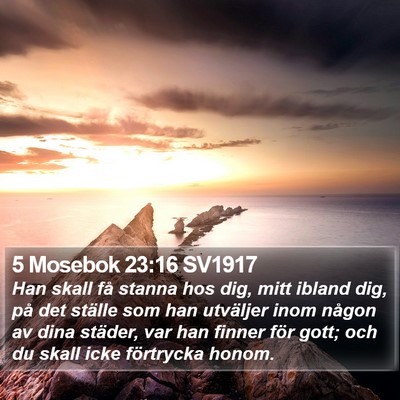 5 Mosebok 23:16 SV1917 Bible Verse Image