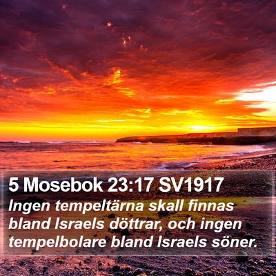5 Mosebok 23:17 SV1917 Bible Verse Image