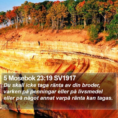 5 Mosebok 23:19 SV1917 Bible Verse Image