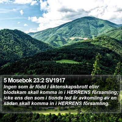 5 Mosebok 23:2 SV1917 Bible Verse Image