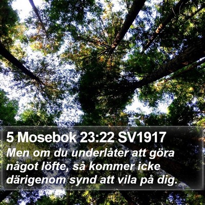 5 Mosebok 23:22 SV1917 Bible Verse Image