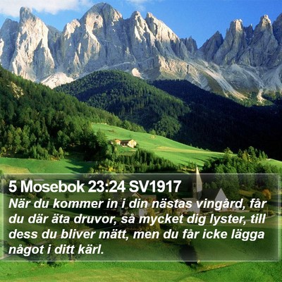 5 Mosebok 23:24 SV1917 Bible Verse Image