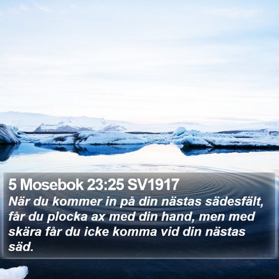 5 Mosebok 23:25 SV1917 Bible Verse Image