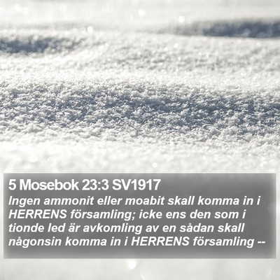 5 Mosebok 23:3 SV1917 Bible Verse Image