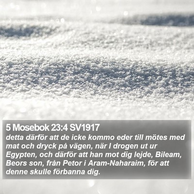 5 Mosebok 23:4 SV1917 Bible Verse Image