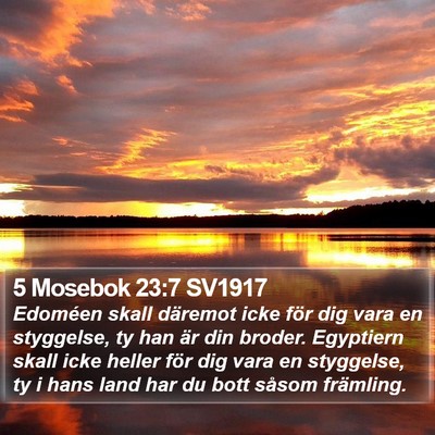 5 Mosebok 23:7 SV1917 Bible Verse Image