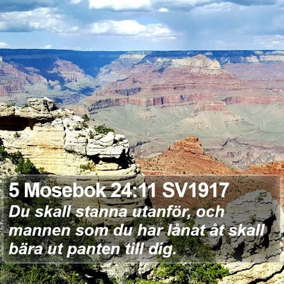5 Mosebok 24:11 SV1917 Bible Verse Image