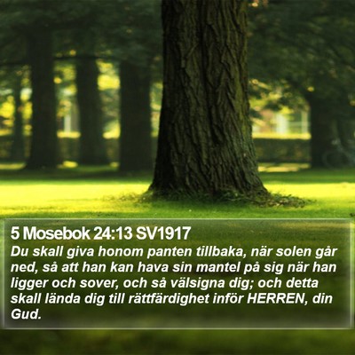 5 Mosebok 24:13 SV1917 Bible Verse Image